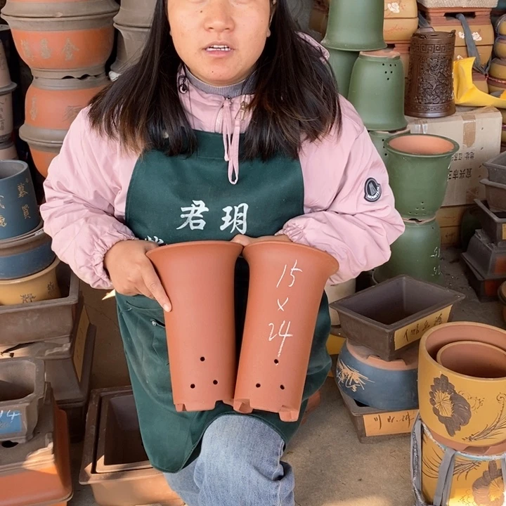 紫砂花盆盆栽花卉苗木种植