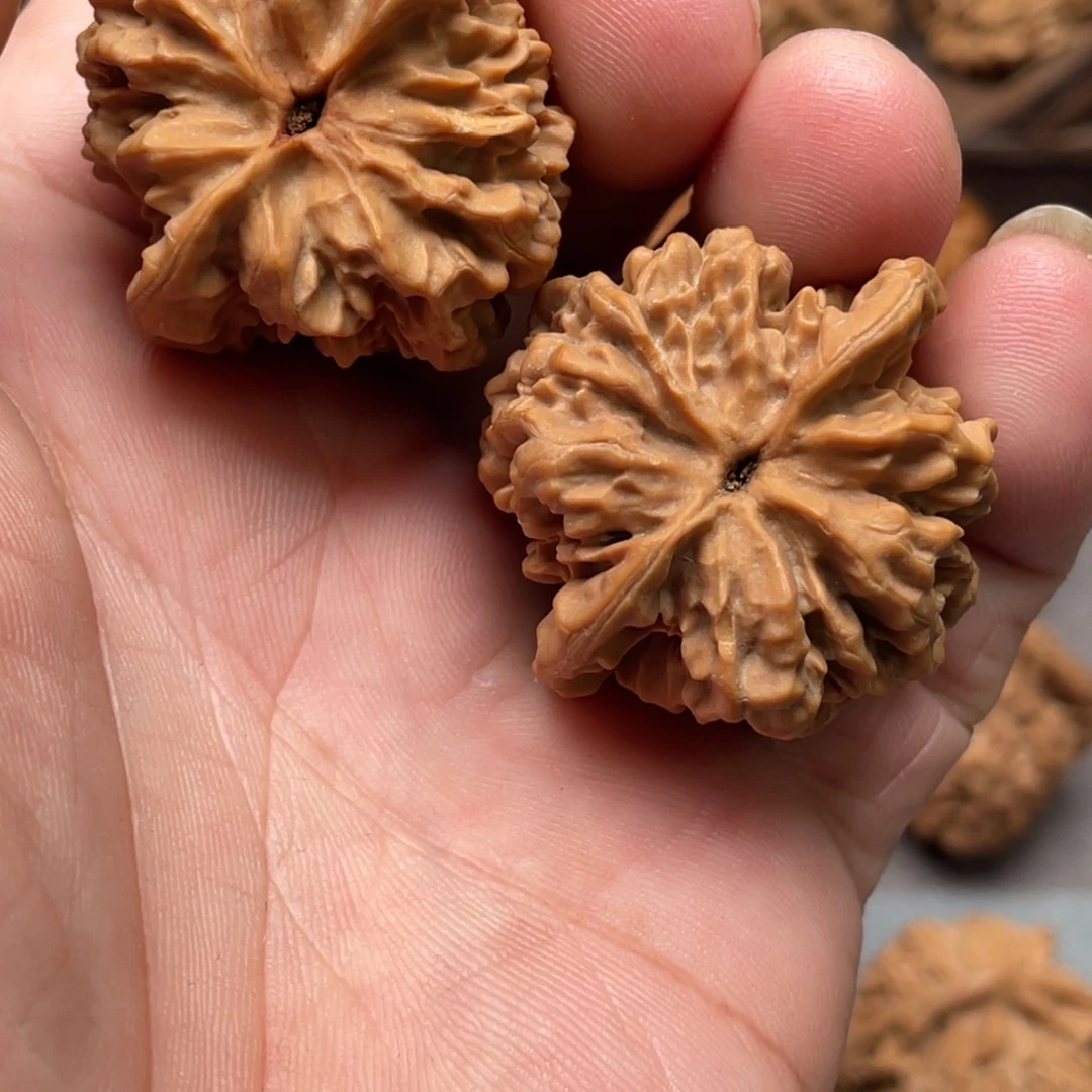 热***.桃核吊坠38全品野生鸡心