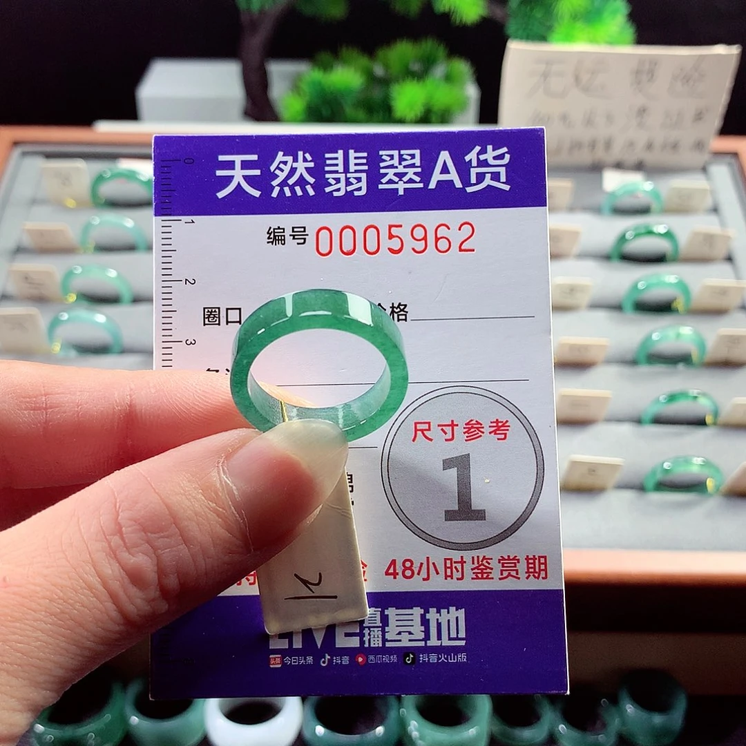 翡翠戒指未镶嵌21号