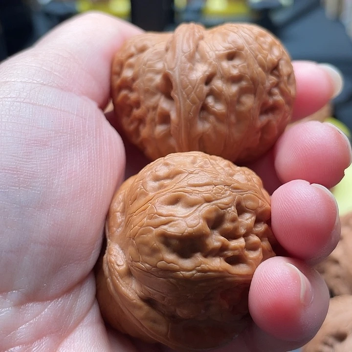 L****i全品无修元宝44/42/32