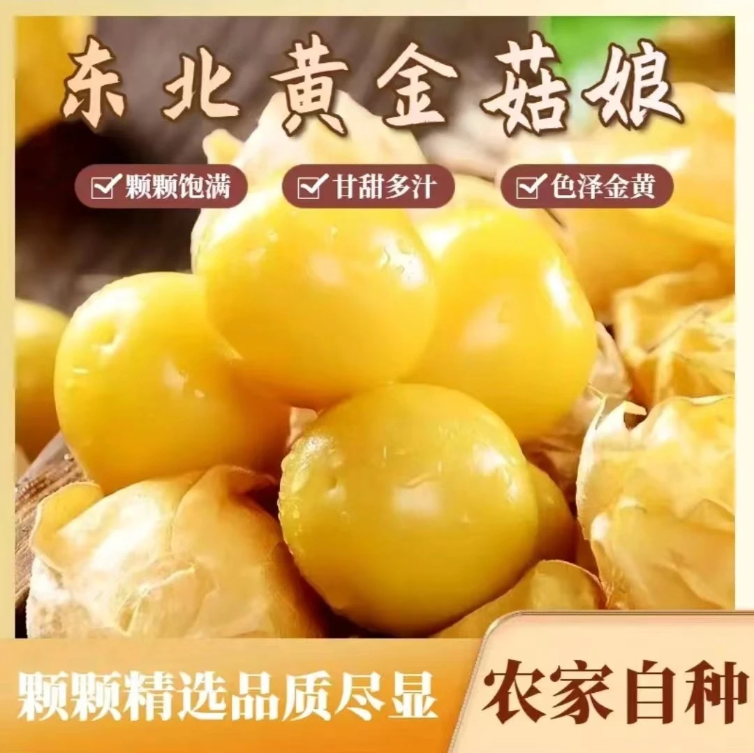 东北姑娘果新鲜当季清甜多汁果园直发
