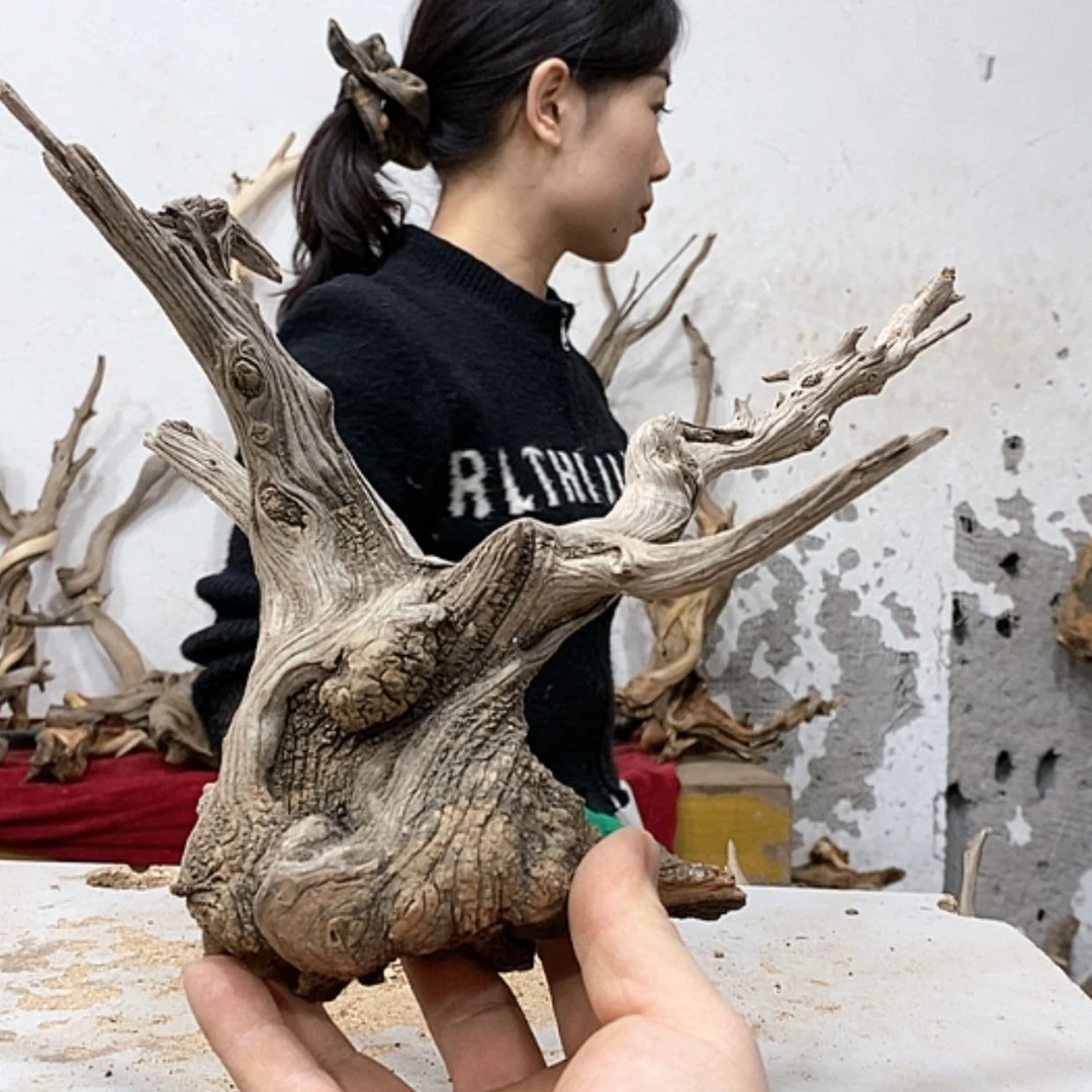 【闪购商品】柏木黄****?我们都是好孩子