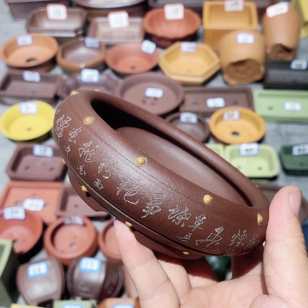 紫砂小盆10.5*3cmmmm