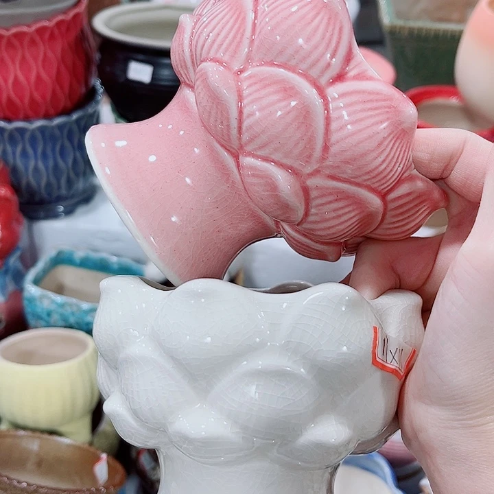 多肉花盆满10元包邮