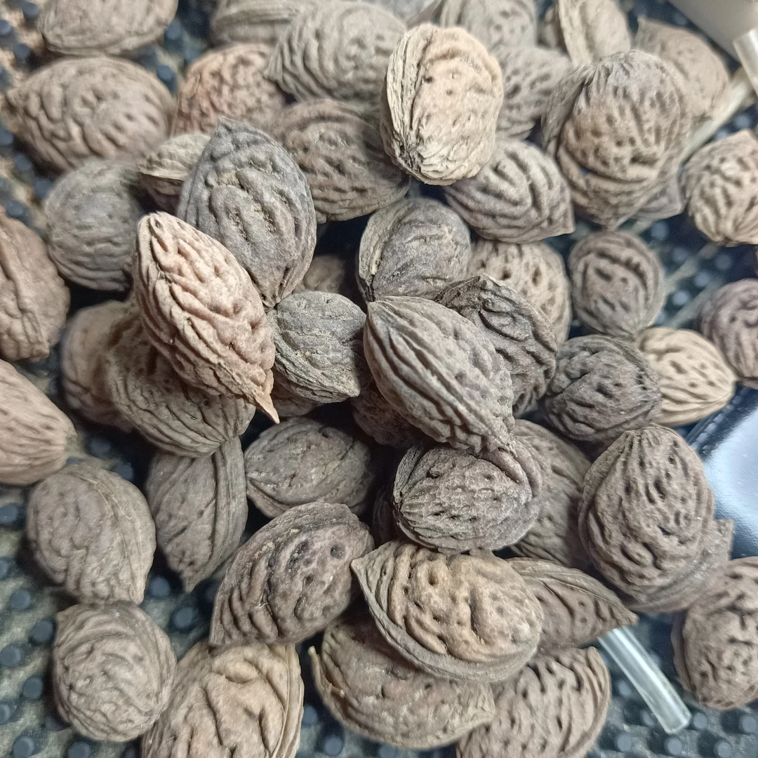 龙山老油核，可雕刻龙珠，罗汉，花鸟
