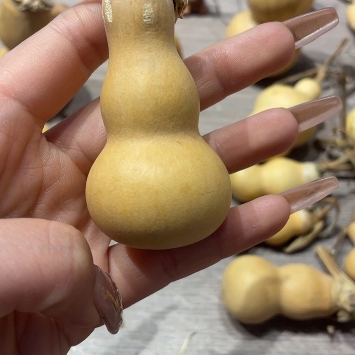 高*粗嘴葫芦粗嘴葫芦