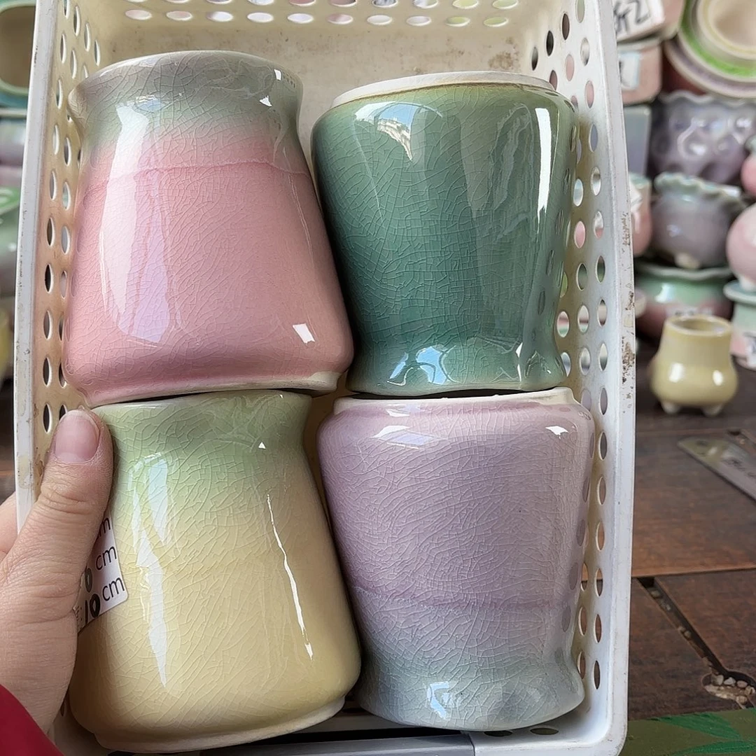 量货/6口高10深浅搭配发4