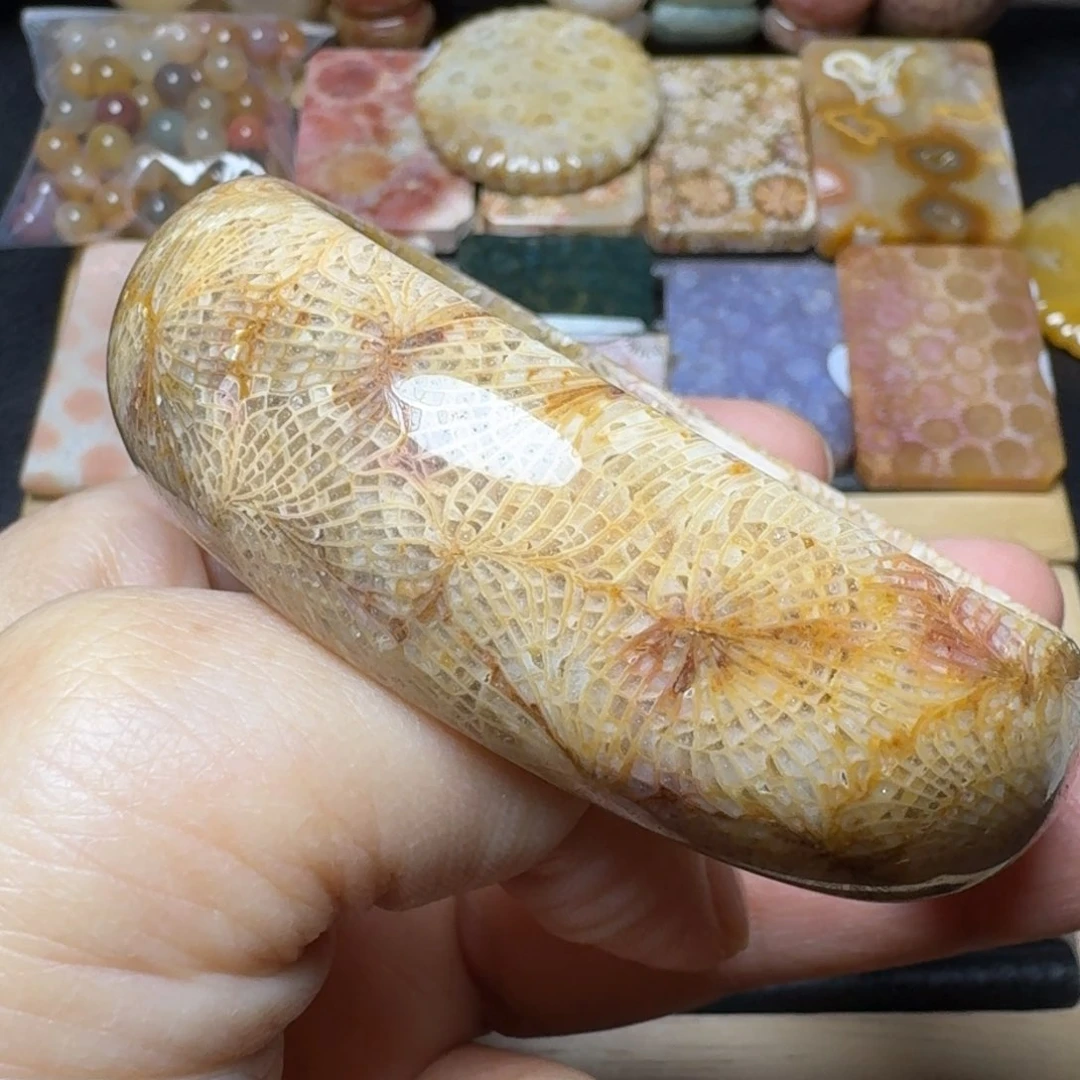 硅化玉60.7带色根的花枝，盘它未镶嵌