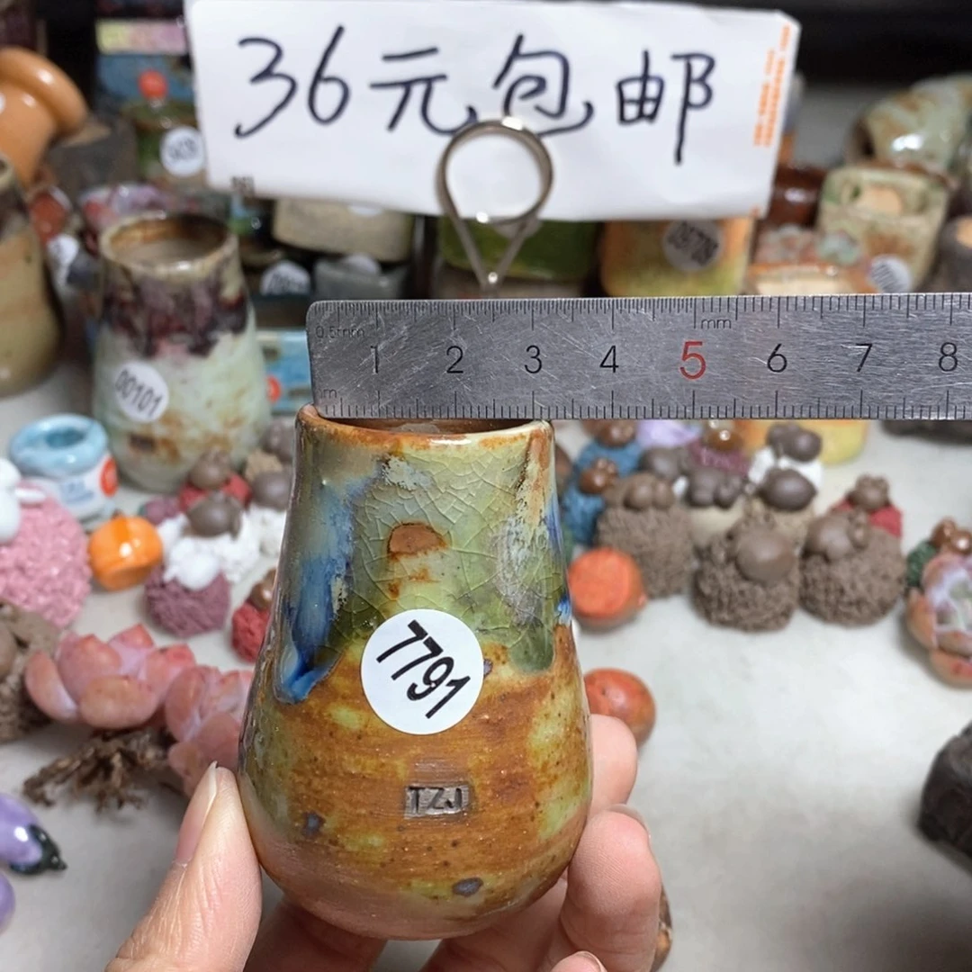拍5送一个小礼物