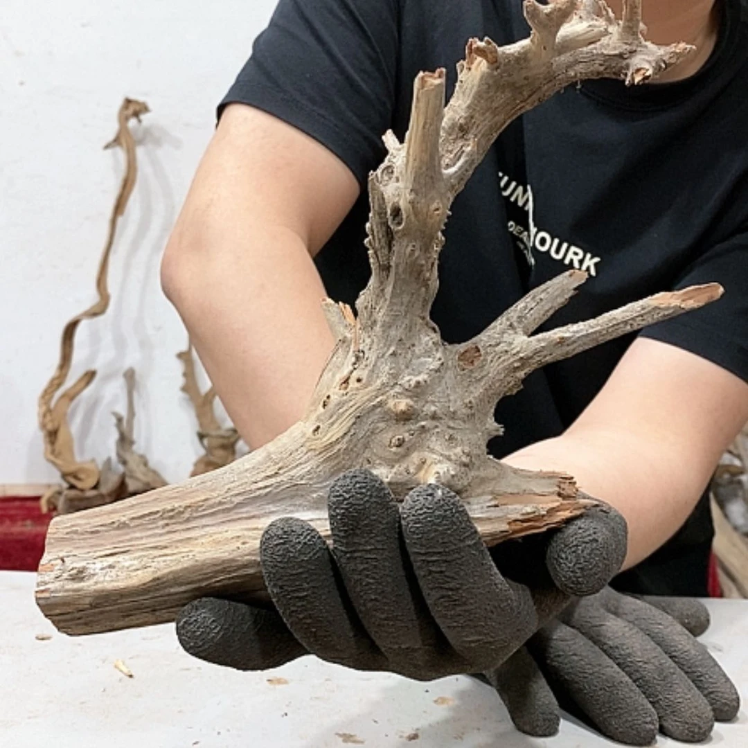 【闪购商品】柏木心*我们都是好孩子