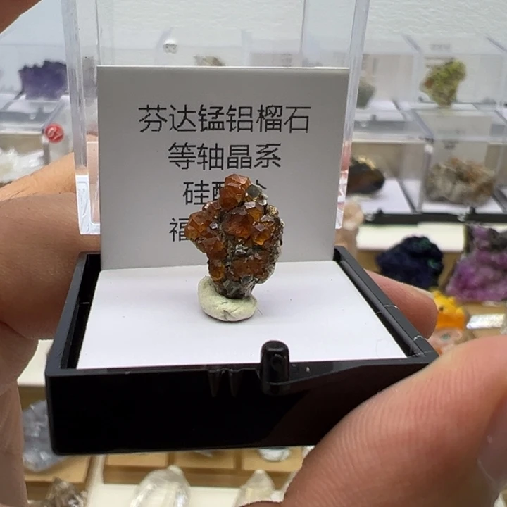 未镶嵌眼镜紫晶芬达