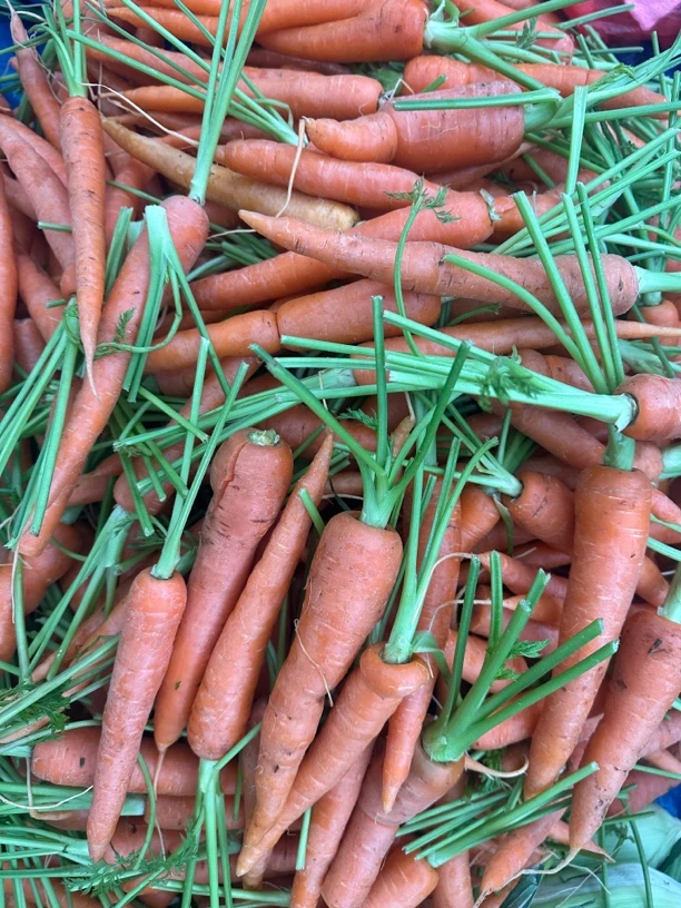 贵州大学生助农*胡萝卜