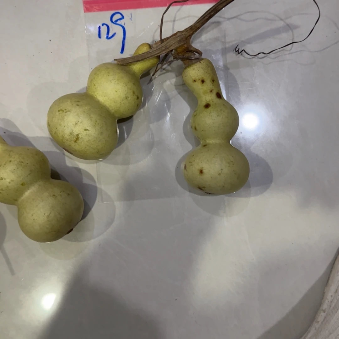 我****青皮不包成青皮不包成