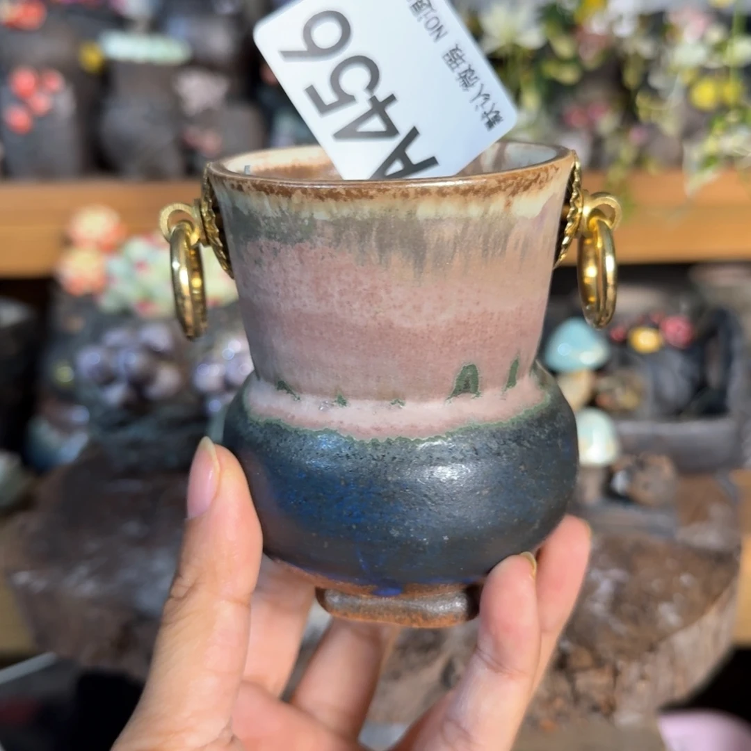 重庆小燕子欢迎大家456