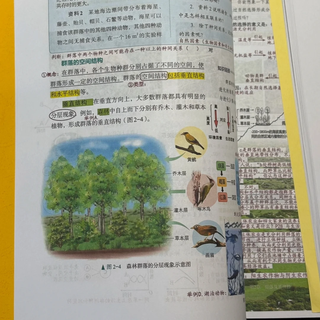 【选择性必修二】胶装版