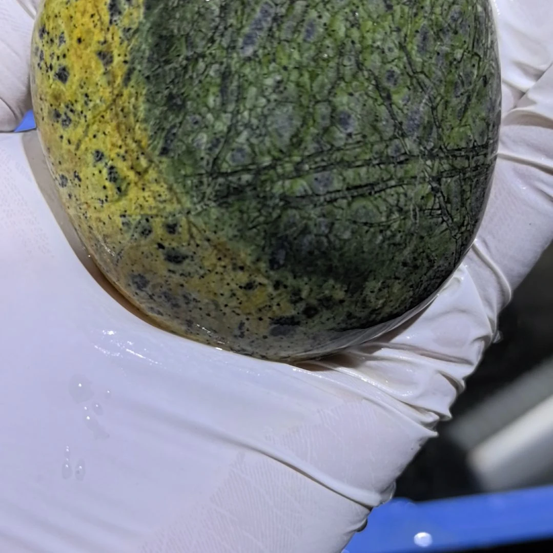 *****藏玉药王石原石一个