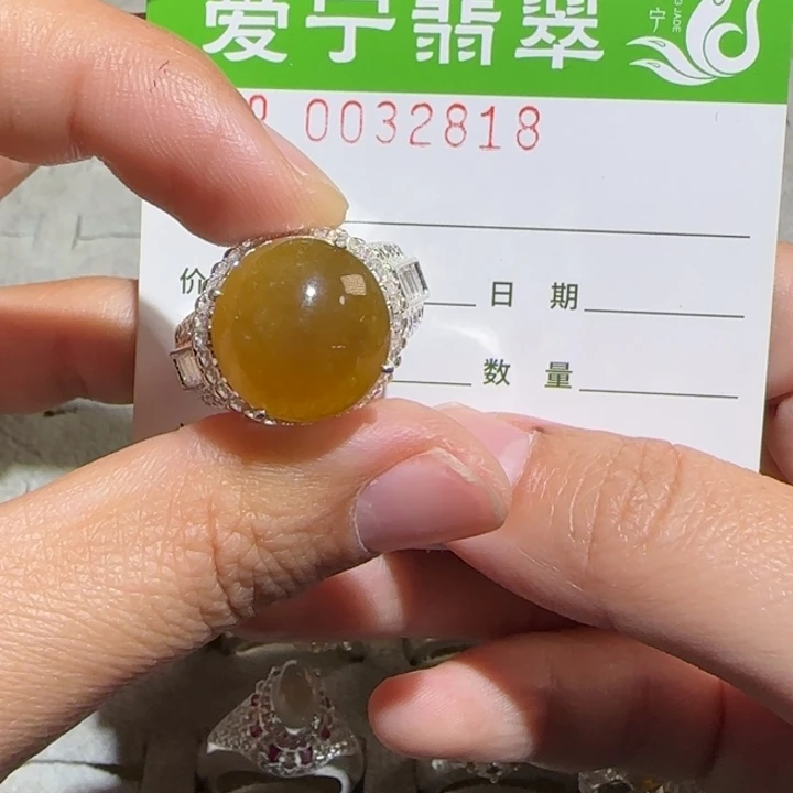 定制翡翠未镶嵌李*萧