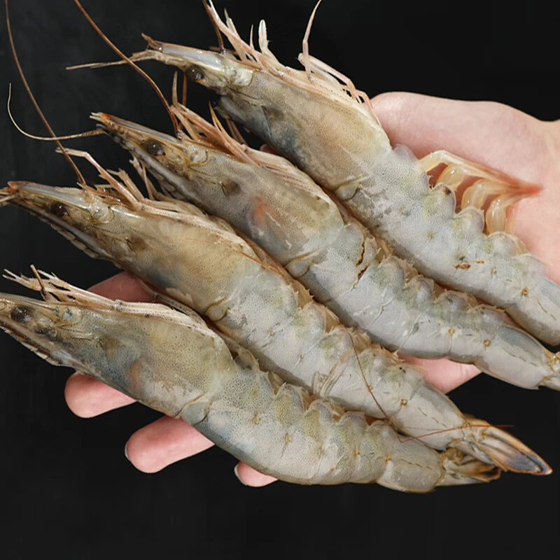 桑塔盐冻白虾 30/40，4斤 【冷冻】