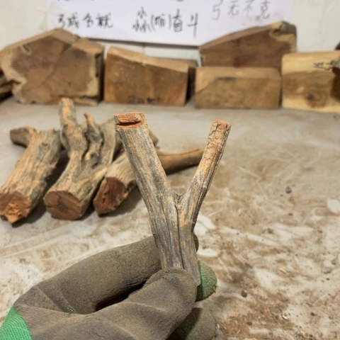 大果紫檀（缅甸花梨）会***牛