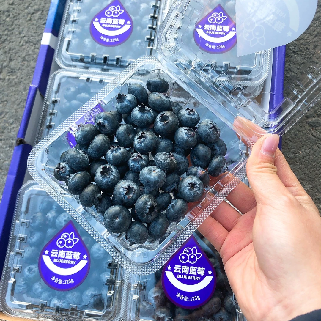 纯甜蓝莓一箱（12盒）
