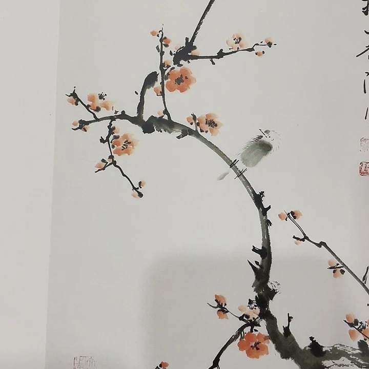 知***811111111111111111