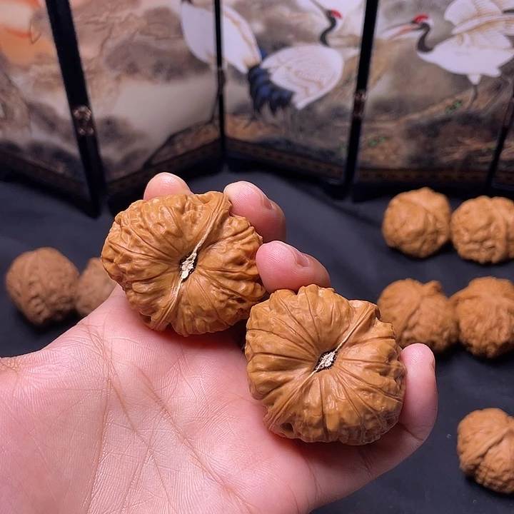 核桃40尺 南瓜墩 精对