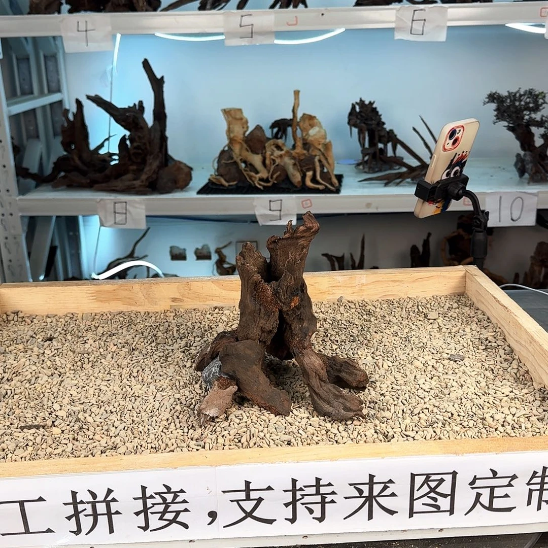 戏***生沉木造景沉木造景