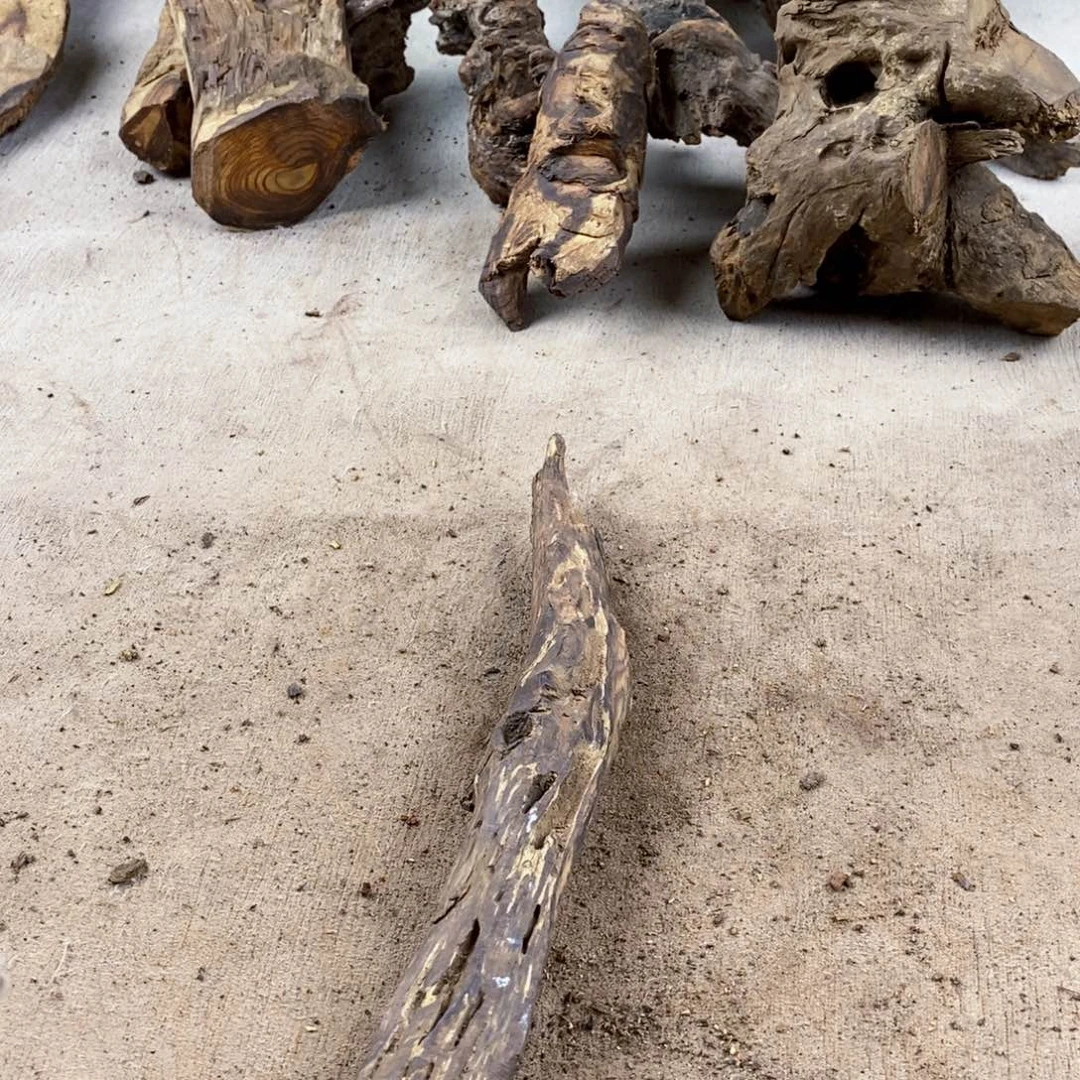 s***@黄花梨/降香黄檀降香黄檀黄花梨