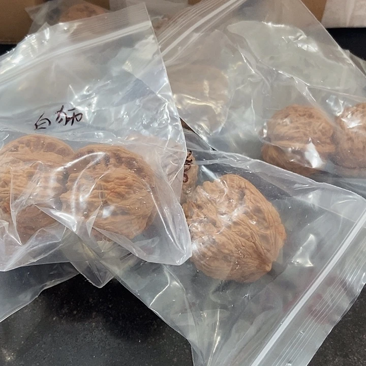 吊坠文玩核桃一单6对5