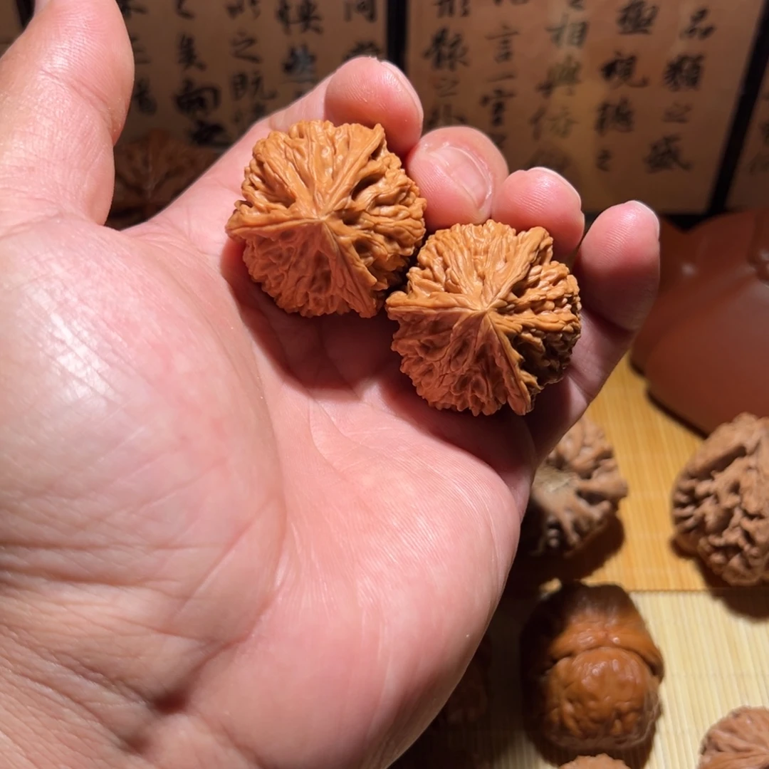 把件文玩核桃御龙粗筋