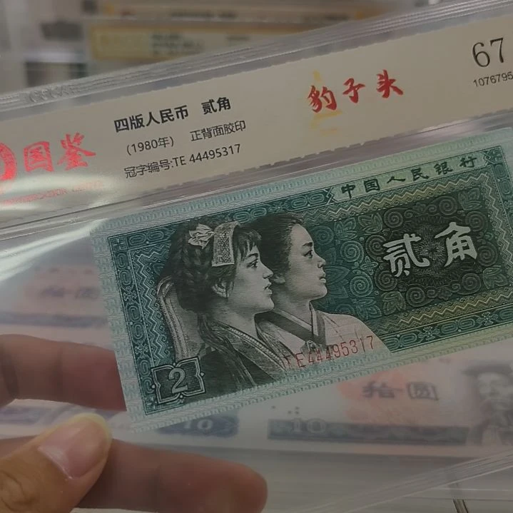 龙头豹一张(特惠专属价)