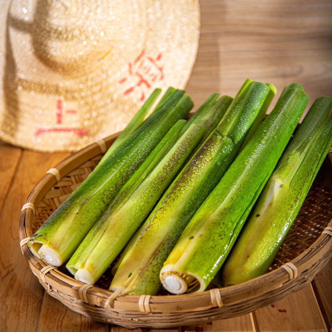 【买三斤送一斤】上海青浦练塘头茬现摘现发本地时令鲜嫩茭白