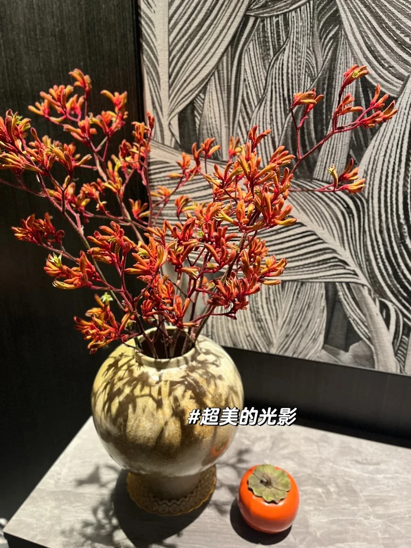 【母亲节鲜花婵之语】袋鼠爪红色鲜切花