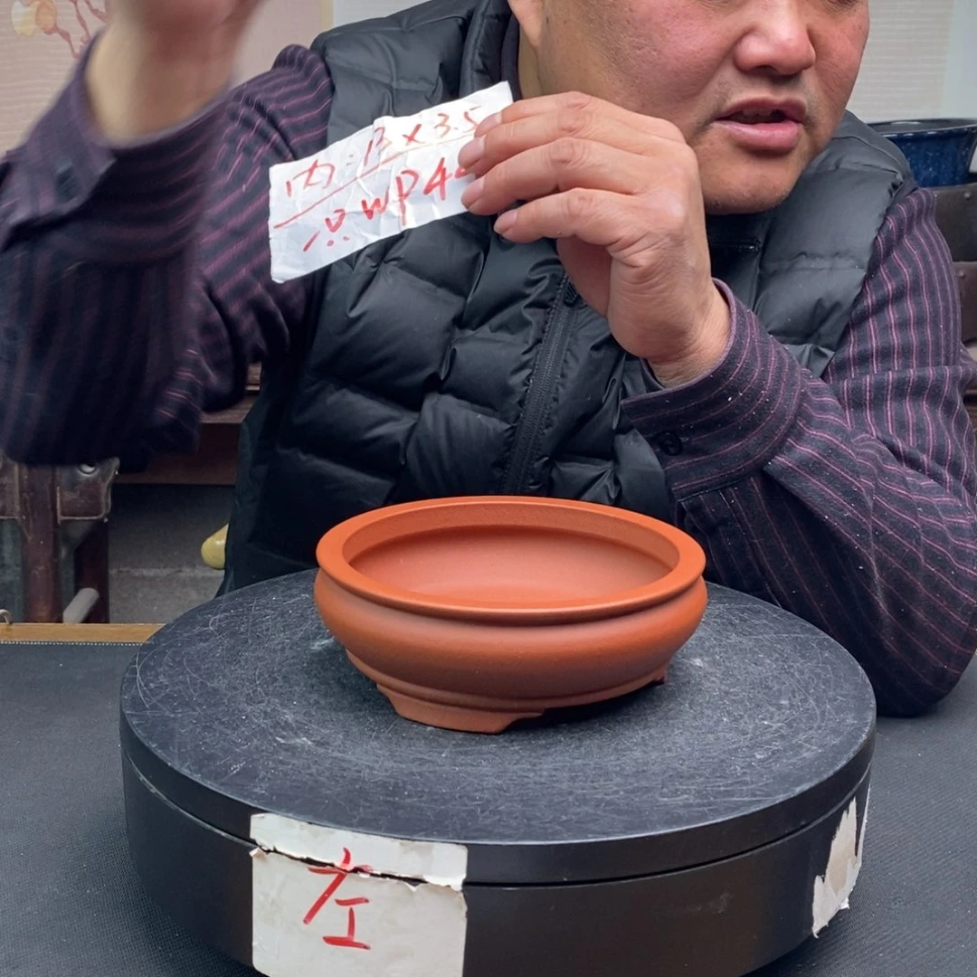 紫砂货号一只WP44