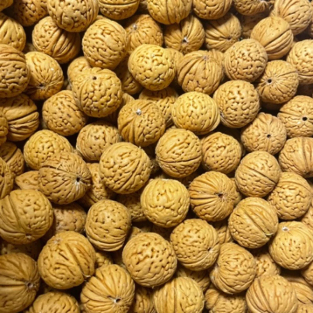 各种桃核散籽原皮原色