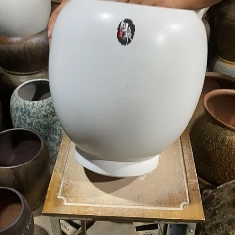 口21高度31白色8888