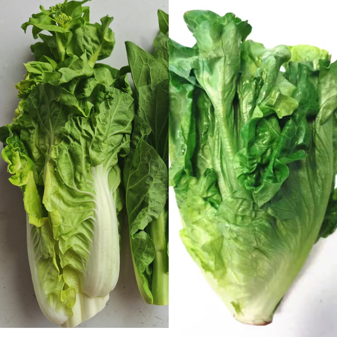 【3斤丑白菜心+2斤生菜】净重5斤农家蔬菜发顺丰坏菜包赔