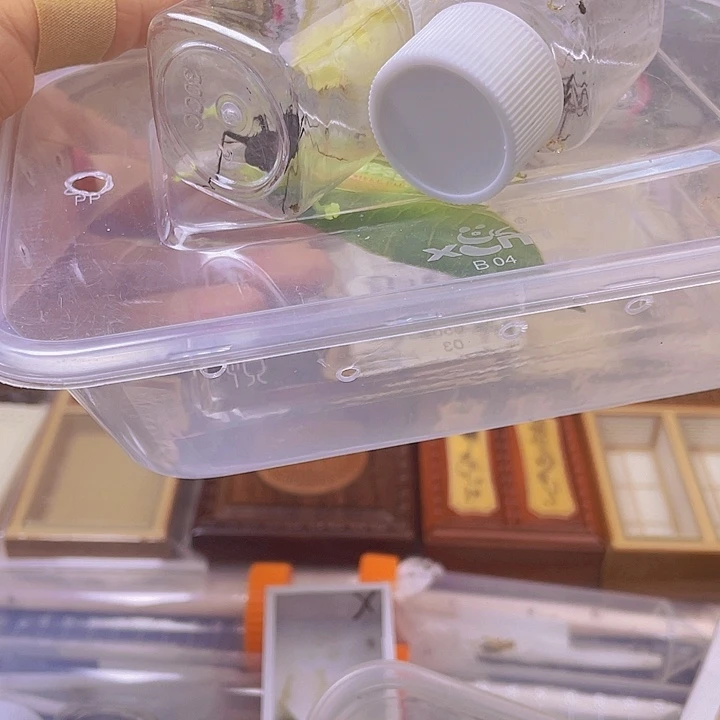 悟***冠脉1啊马蛉2啊啊啊啊啊