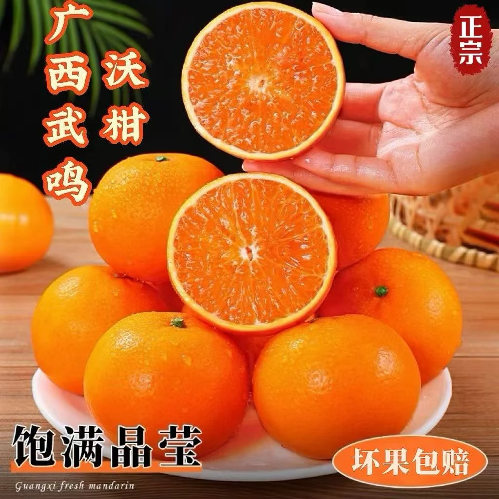正宗广西【武鸣沃柑】新鲜采摘果园直发