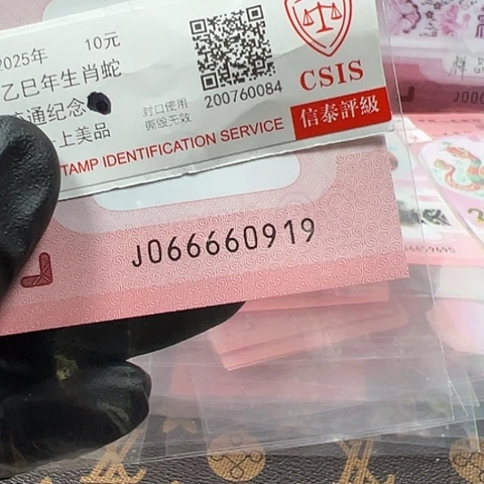 J066660919单张简易封装蛇