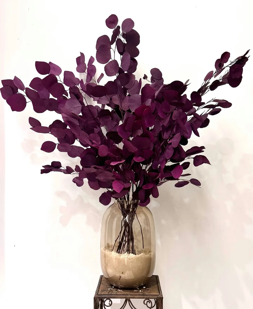 【花栖云境专属】苹果尤加利叶 永生花尤加利叶家居干花 花期超长