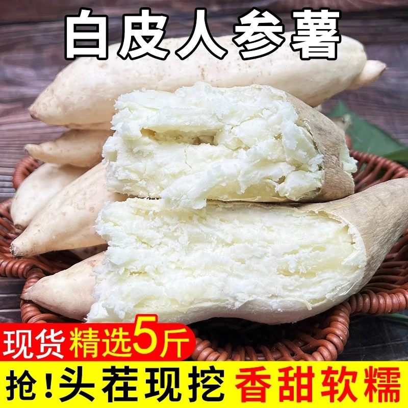新鲜现挖白皮白心红薯板栗红薯老品种粉面牛奶人参薯香甜板栗地瓜