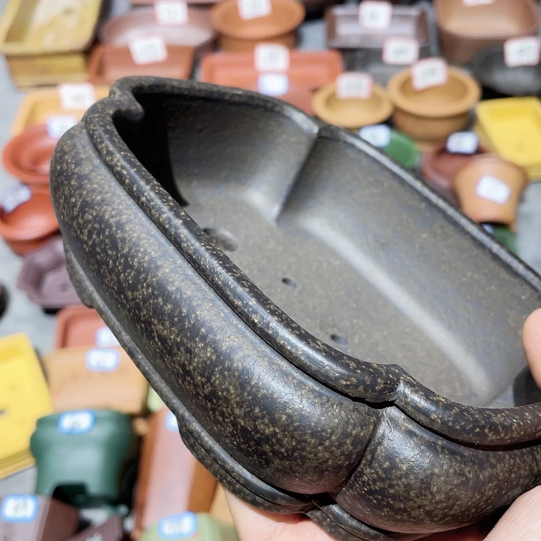 紫砂小盆15*11.5*3.5cmmm