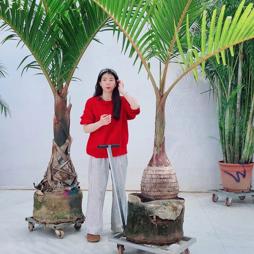 时****！11227788888888