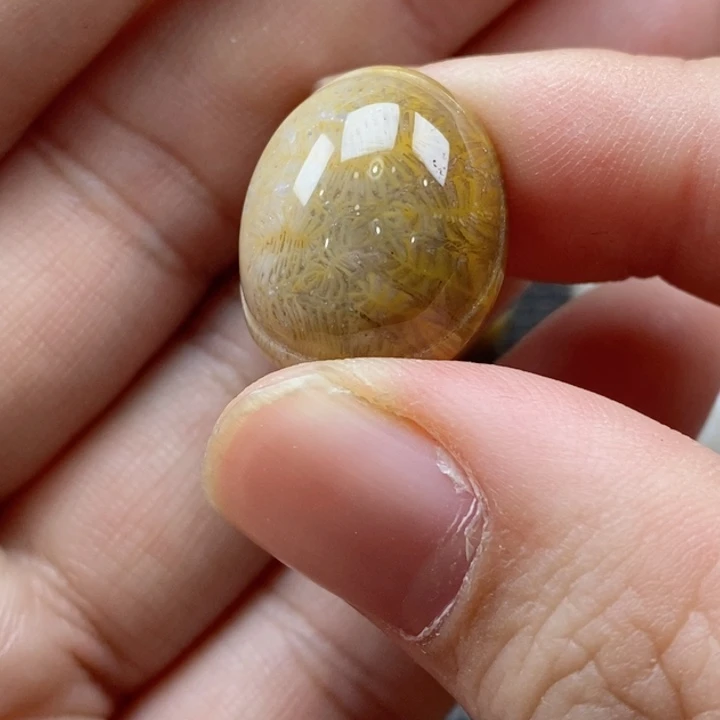 硅化珊瑚（珊瑚玉）颈饰未镶嵌