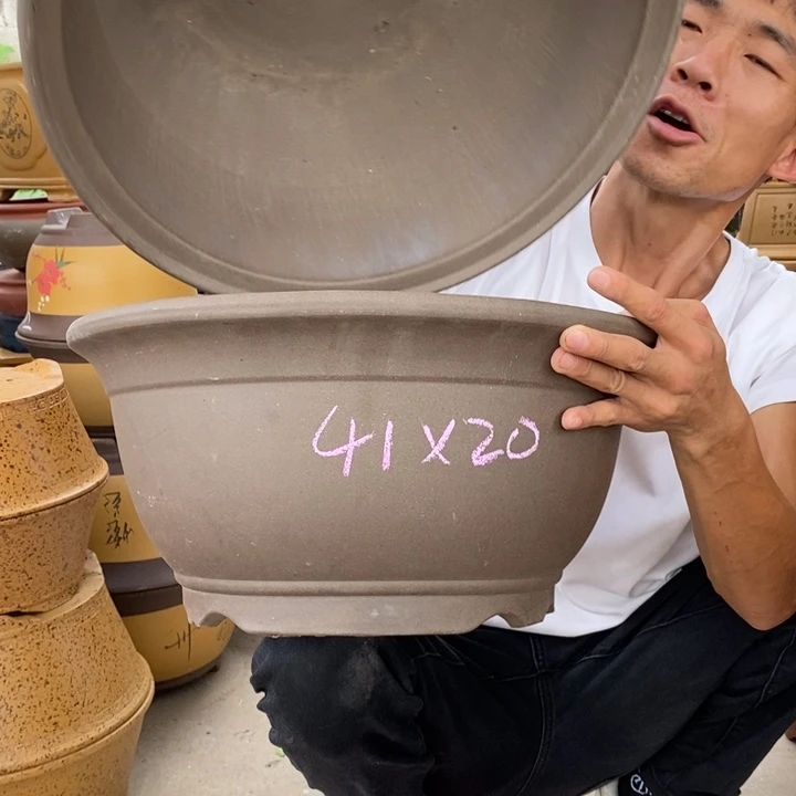 紫砂紫砂紫砂紫砂