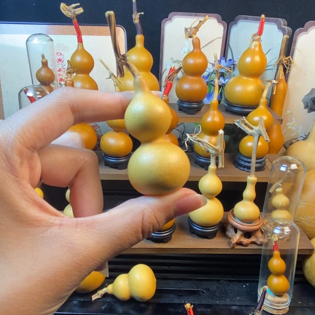 不***求葫芦哈哈哈哈哈哈哈