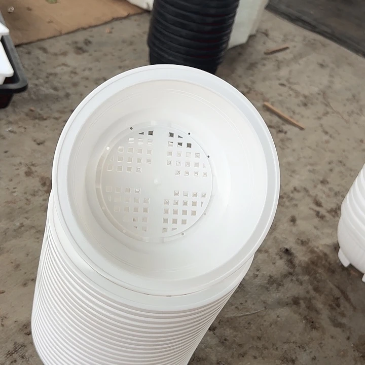 肥*15公分白色韩盆10个