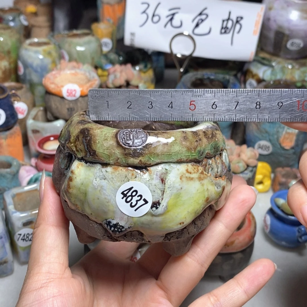 拍3送一个小礼物