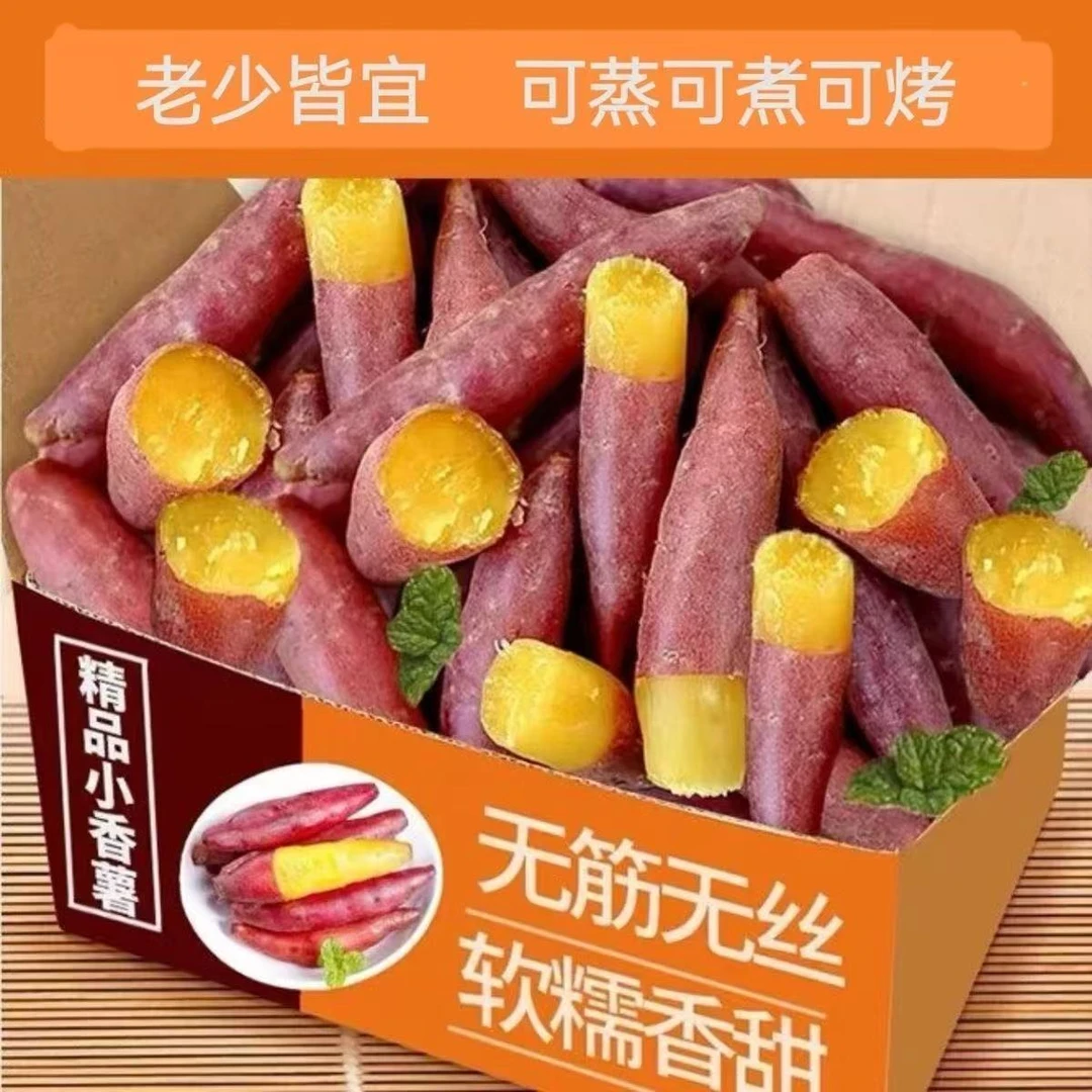 临安天目山小香薯沙地板栗红薯新鲜正宗黄心番薯现挖蜜薯地瓜山芋